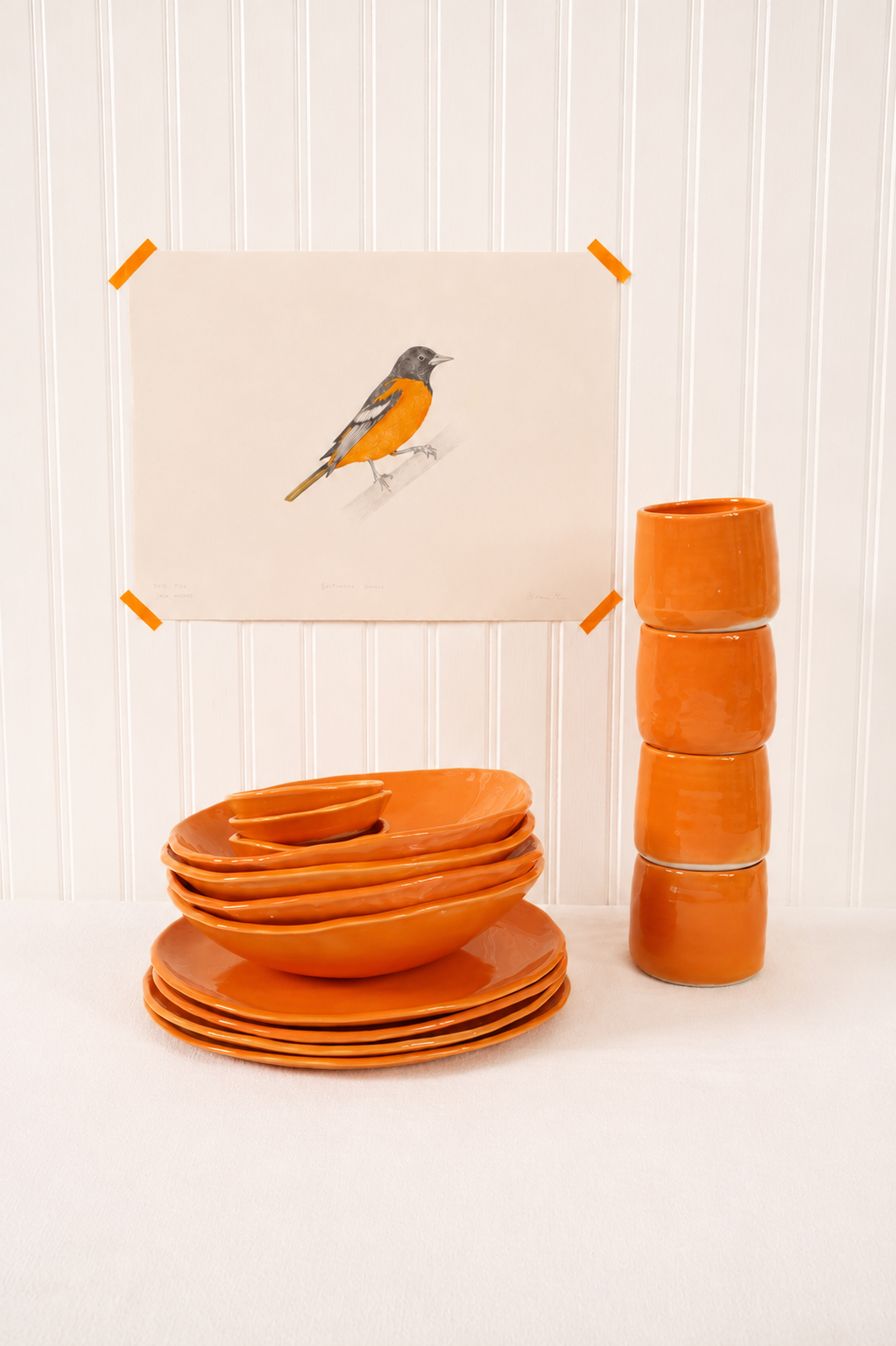 Baltimore oriole