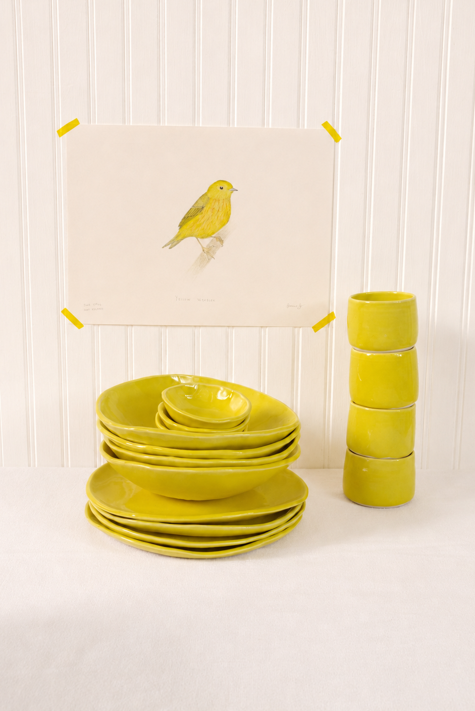 Yellow warbler