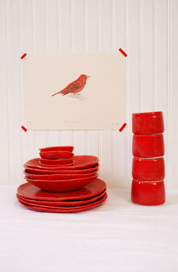Summer tanager
