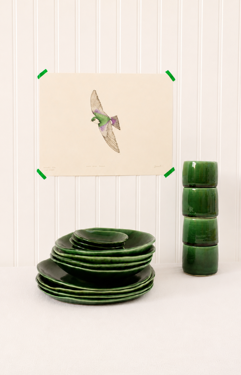 Violet green swallow
